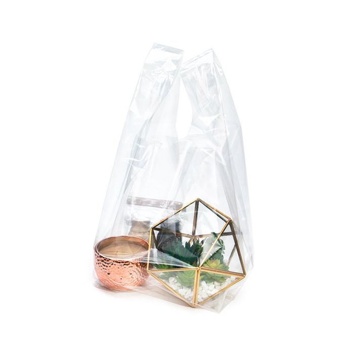 Plastic Carrier Bags Transparent 25.4x25.4x54.6cm (100 pieces) [CHB3]