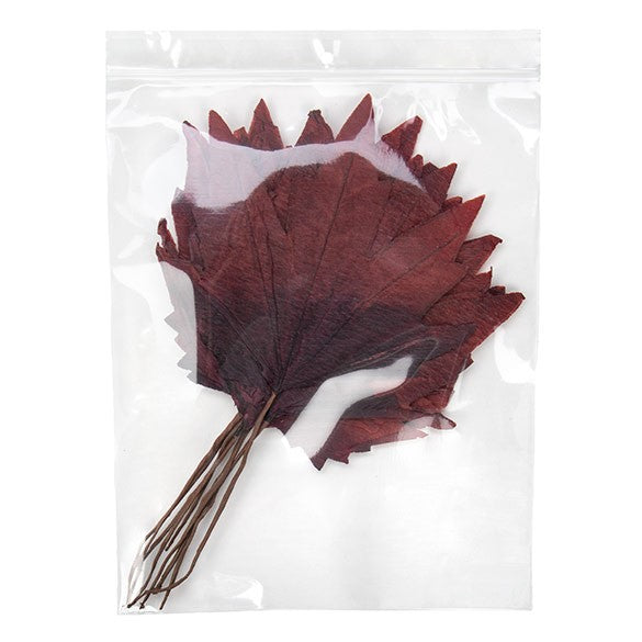 Grip Seal Bags with Hang hole 20.5x25.5cm Crystal Clear PP 75 micron (100 pieces) [Z3R810]