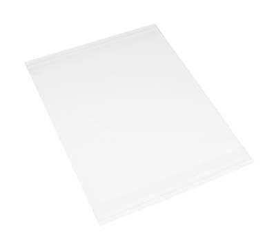 Photo Display Pouches 20.6x25.6cm (100 pieces) [CPM8X10S]