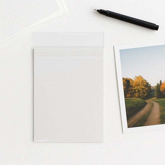 Plastic Bags 10.8x15.6cm Premium with Protective Closure (100 pieces) [PR4X6]