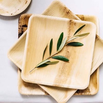 Square Plate Palm Leaf, 23x23 cm (200 pieces) [GB-DTW05640]