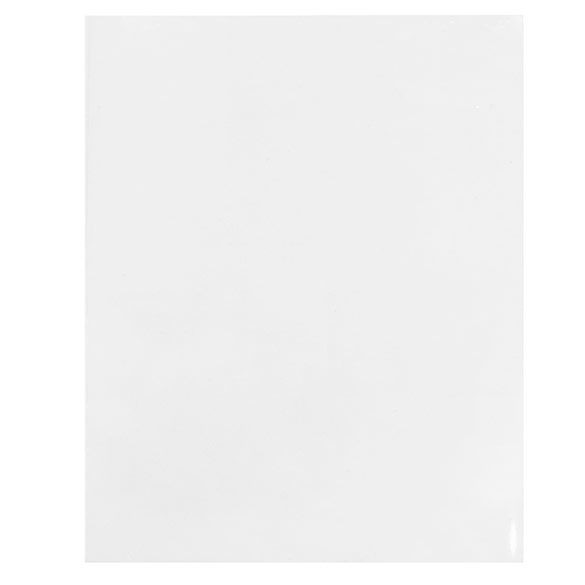 ECO-friendly Bags 20.3x25.4cm Sealable (100 pieces) [GC810ENF]