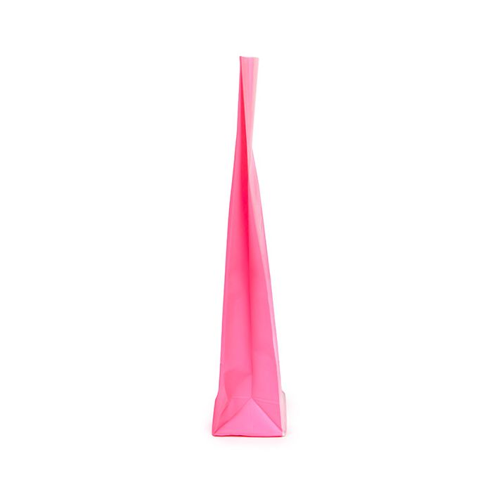 Block Bottom Bags Neon Pink w/ Paper Insert 8,9x5,7x30,5 cm (100 pieces) [FGPB16NK]