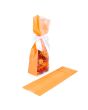 Block Bottom Bags Neon Orange w/ Paper Insert 8,9x5,7x30,5 cm (100 pieces) [FGPB16NO]