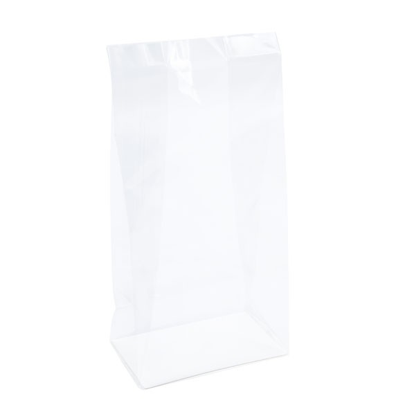 Block Bottom Bags Clear 7.6x5.1x16.5cm with paper insert (100 pieces) [FGPBH6]