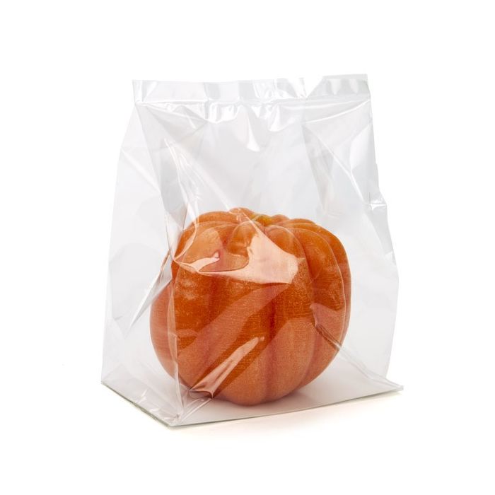 Block Bottom Bags Clear 17.8x10.2x22.9cm with paper insert (100 pieces) [FGPBH8]