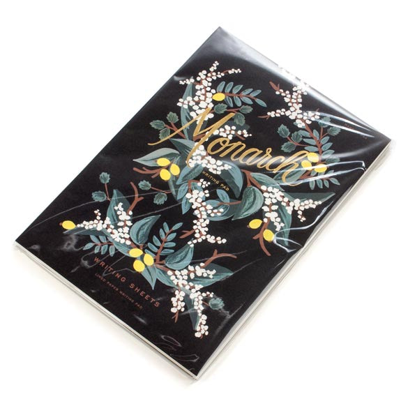 Plastic Bags 19.5x28.6cm Transparent Peel and Seal (100 pieces) [B7X11]