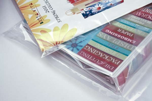 Plastic Bags 7.6x45.7cm LDPE 40 micron (100 pieces) [PE1H318]