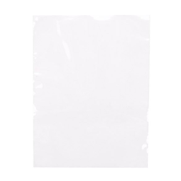 Plastic Bags 7.6x10.2cm Clear Polypropylene (100 pieces) [FP134]