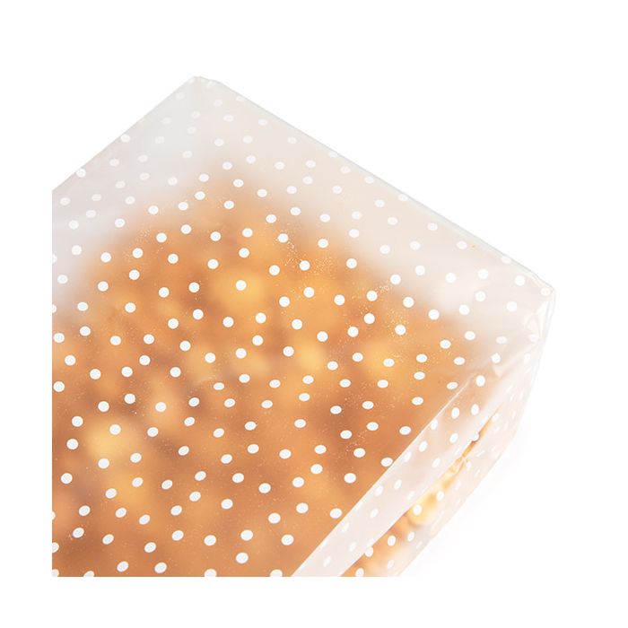 Block Bottom Bags w/ Paper Insert Frosted Polka Dots 12.7x7.6x30.5 cm (100 pieces) [FFGPB1D]