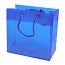 Gift Bags 16x7.6x16cm with carrying Cords (10 pieces) [G66BL1]