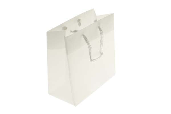 Gift Bags 16x7.6x16cm with carrying Cords (10 pieces) [G66FT1]