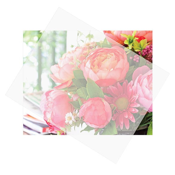 Glassine Paper Sheets 20.3x25.4cm (25 pieces) [GS8]