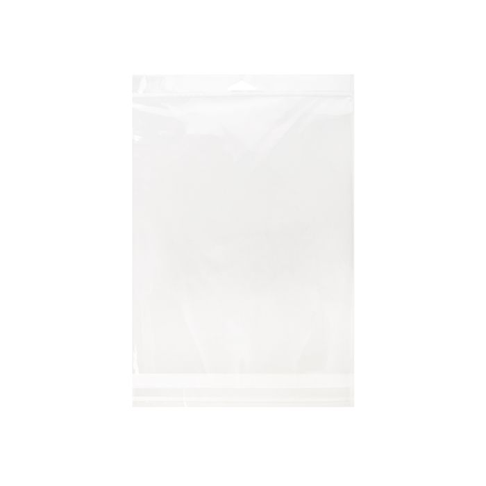 Headerbags 22.7x28.6cm Reclosable and Crystal Clear (100 pieces) [HB811]