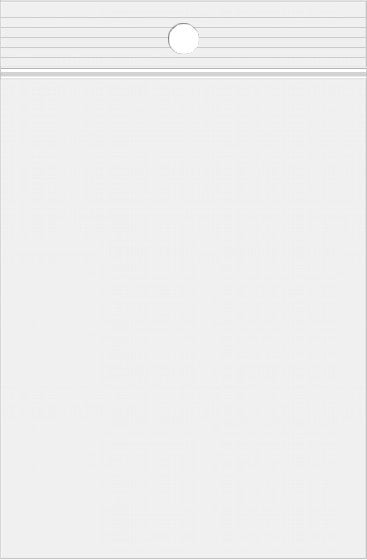 Grip Seal Bags with Hang hole 33x38cm Crystal Clear PP 75 micron