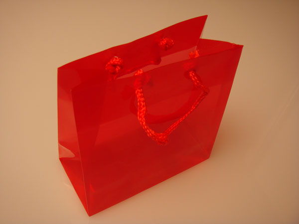 Gift Bags 16x7.6x16cm with carrying Cords (10 pieces) [G66RD1]