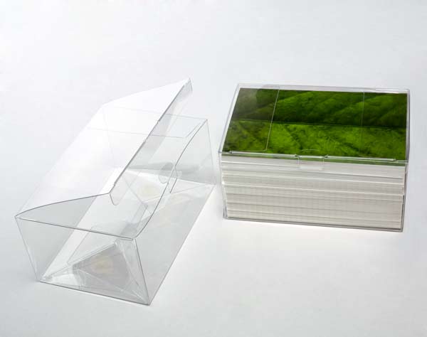 Plastic Gift Boxes 15.6x10.8x7.6cm Crystal Clear with Autolock Bottom (25 pieces) [FPLB214]