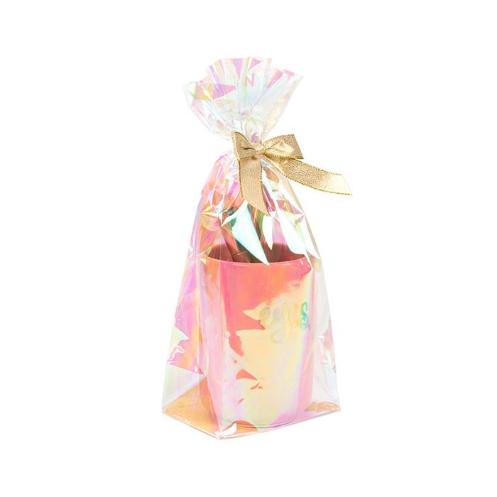 Flat Bottom Gusset w/ Paper Insert Iridescent, 2.2 Mil 12,7x7,6x30,5cm (50 Pieces) [HFGPB1]