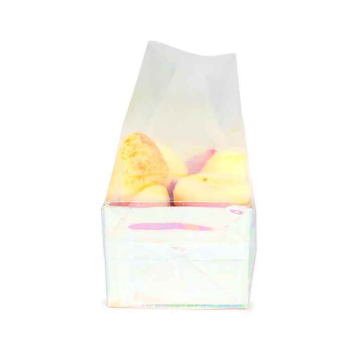 Block Bottom Bags w/ Paper Insert Iridescent 6.4x5.1x24.8 cm (50 pieces) [HFGPB12]