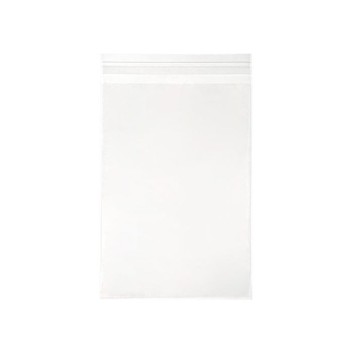 Plastic Bags 21.3x30.3cm Transparent and reclosable (100 pcs) [KO-30159]