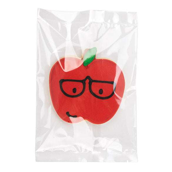 Plastic Bags 12.5x17.5cm laminated (100 pieces) [SLB57]