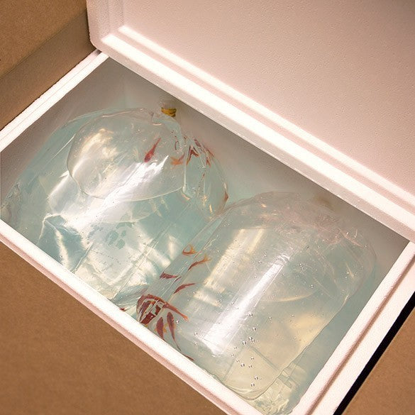 Block Bottom Bags Heavy Duty 16.1x16.5x57.2cm (100 pieces) [3GSBW2]