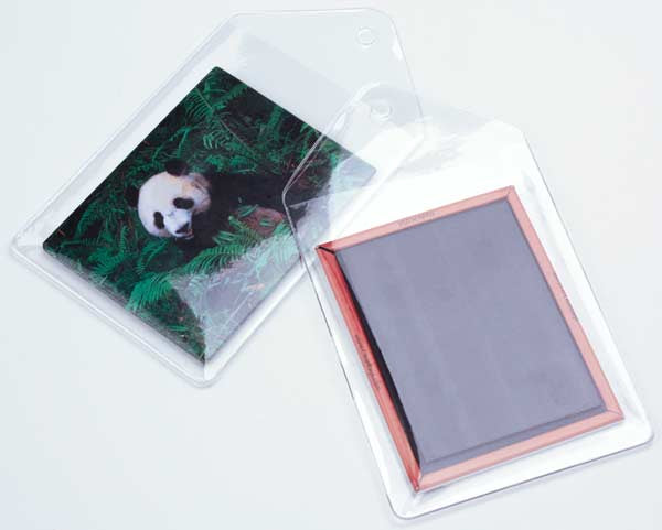 Vinyl Sleeve 6x8.3cm (100 pieces) [MAG1]