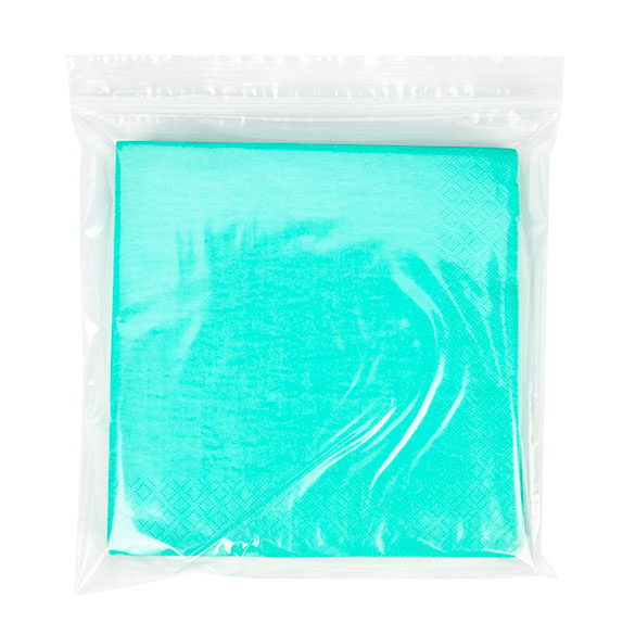 Grip Seal Bags 20.5x20.5cm PE 50 micron (100 pieces) [2PE88]