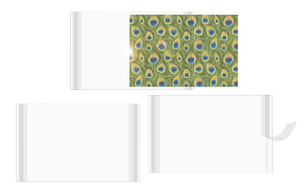 Photo Display Pouches 10.5x15.5cm (100 pieces) [CPM4X6S]