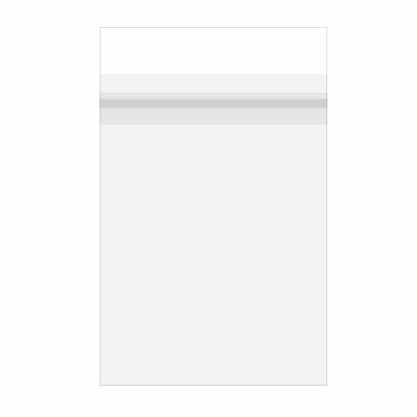 Plastic Bags 15.3x22.9cm Premium laminated and with Protective Closure (100 pieces) [PL6X9S]