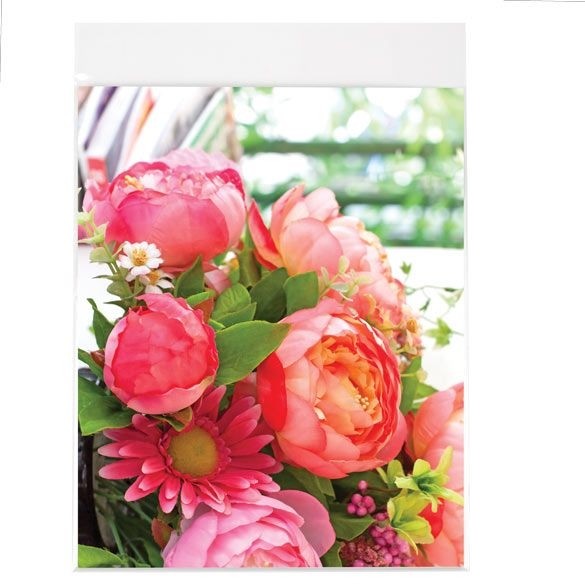 Plastic Bags 21.4x22.7cm Transparent Peel and Seal (100 pieces) [B108SPC]