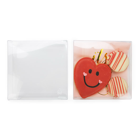 rPET Crystal Clear Box 13x2,5x12,9cm (25 pcs) [FB47R]