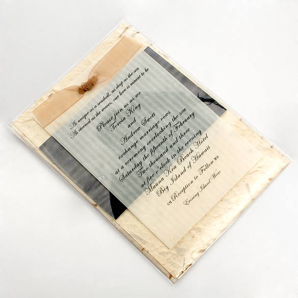 Plastic Bags 13.3x18.1cm Transparent Peel and Seal(250 pieces) [VL75S]