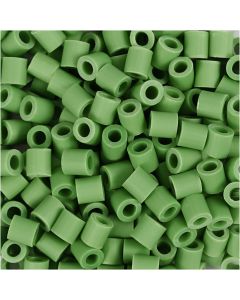 NABBI BioBeads, size 5x5 mm, hole size 2.5 mm, medium, green, 1000 pc/ 1 pack [HOB-9067800]