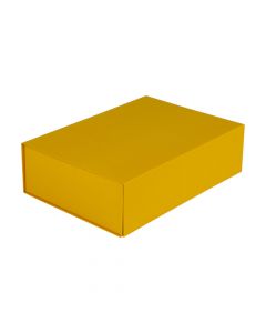 Magnet boxes 35x25x10cm Ochre Yellow (25 pcs) [FP-VPD132]