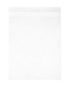 ECO-friendly Bags 22x30 cm Premium Quality (100 pieces) [GCA4]