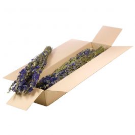 Dried Flowers Natural Blue Delphinium (1 Bundle) [RU-00102.000.9]