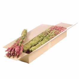 Dried Flowers Natural pink Delphinium (1 Bundle) [RU-00104.000.9]