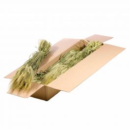 Dried Flowers Natural Green Gerst (Hordeum) (1 Bundle) [RU-00190.000.9]