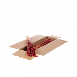 Dried Flowers Red Haver (avena) (1 Bundle) [RU-00210.062.9]