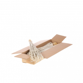 Dried Flowers White Misty Haver (Avena) (1 Bundle) [RU-00210.101.9]