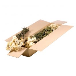 Dried Flowers Natural White Helichrysum (1 Bundle) [RU-00228.000.9]