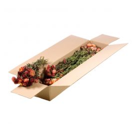 Dried Flowers Natural Salmon Helichrysum (1 Bundle) [RU-00230.000.9]