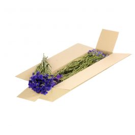 Dried Flowers Natural Blue Statice sinuata (1 Bundle) [RU-00562.000.9]