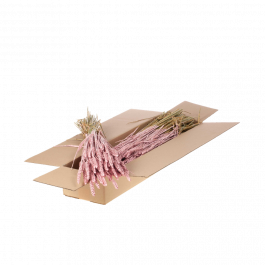 Dried Flowers Pink Misty Tarwe (Triticum) (1 Bundle) [RU-00574.057.9]