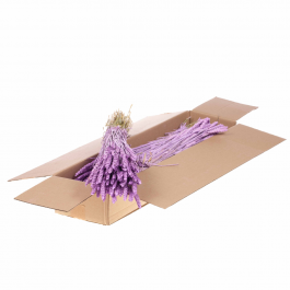 Dried Flowers Lilac Misty Tarwe (Triticum) (1 Bundle) [RU-00574.087.9]