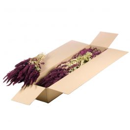 Dried Flowers Natural Red Amaranthus (1 Bundle) [RU-01600.000.9]