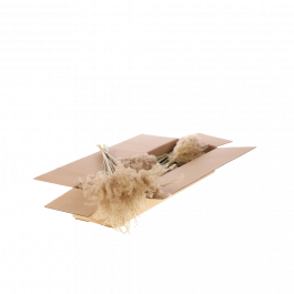 Dried Flowers Natural Fluffy Reed Grass (1 Bundle) [RU-01859.000.9]