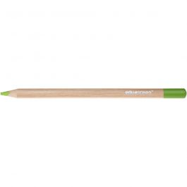 Edugreen Jumbo Coloured Pencils, lead 5 mm, light green, 10 pc/ 1 pack [HOB-408263]