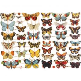 Vintage Die-Cuts, butterflies, 16,5x23,5 cm, 2 sheet/ 1 pack [HOB-19352]